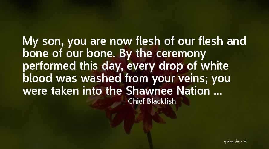 Veins And Blood Quotes By Chief Blackfish Veins And Blood Quotes By Chief Blackfish