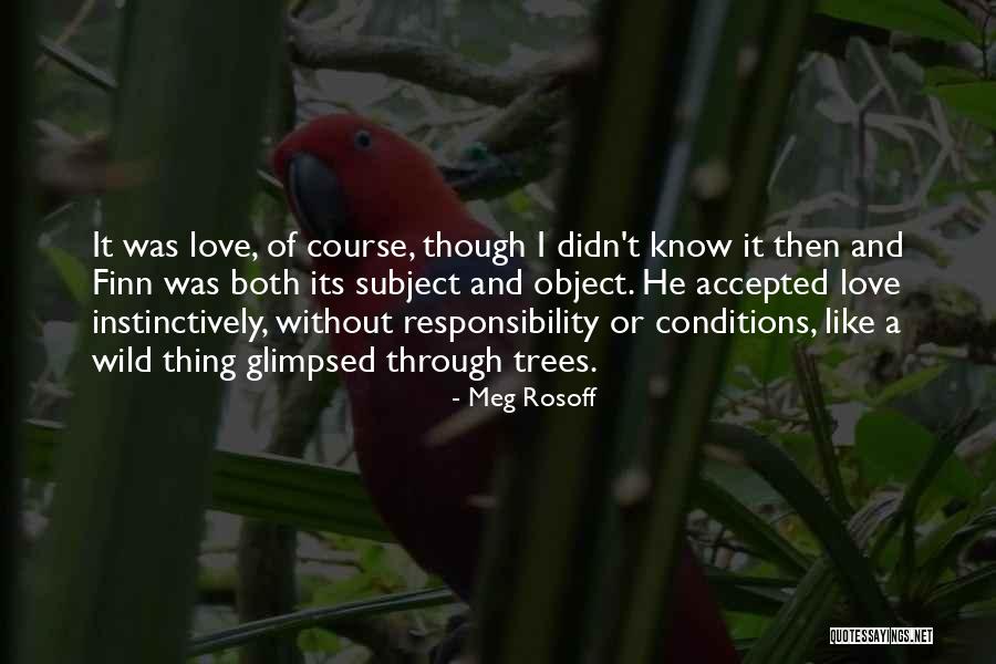 Veinticinco Centesimos Quotes By Meg Rosoff Veinticinco Centesimos Quotes By Meg Rosoff