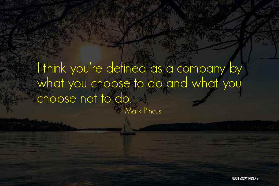 Veios Estriados Quotes By Mark Pincus Veios Estriados Quotes By Mark Pincus