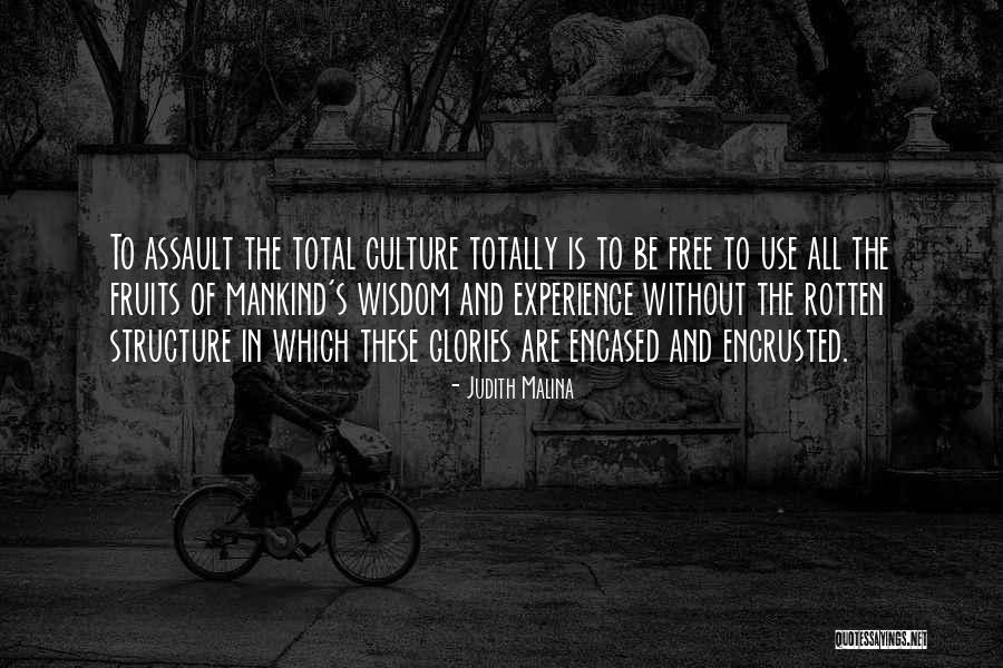 Veith Blog Quotes By Judith Malina Veith Blog Quotes By Judith Malina
