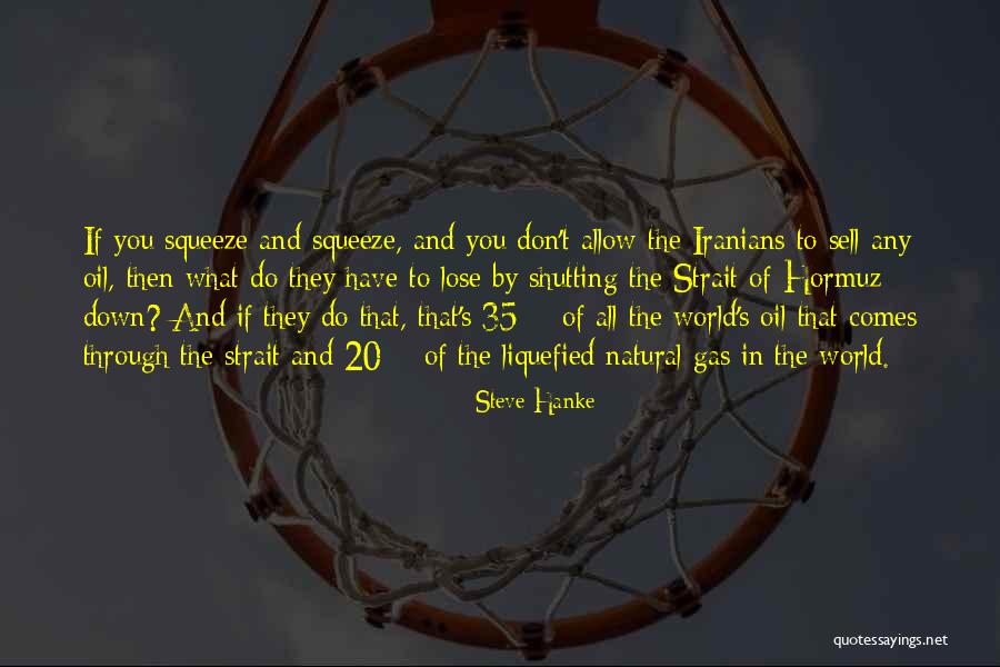 Vekemans Verzekeringen Quotes By Steve Hanke Vekemans Verzekeringen Quotes By Steve Hanke