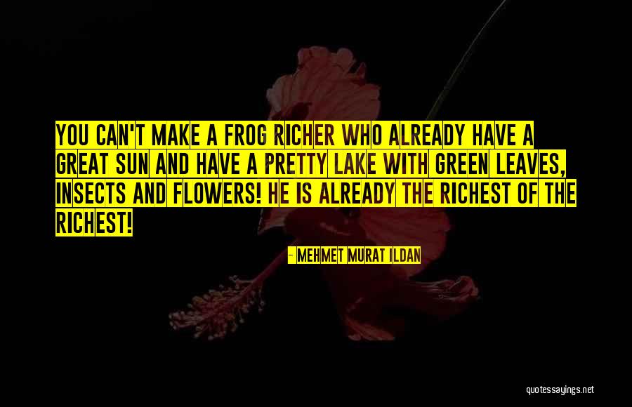 Vekil Ne Quotes By Mehmet Murat Ildan Vekil Ne Quotes By Mehmet Murat Ildan
