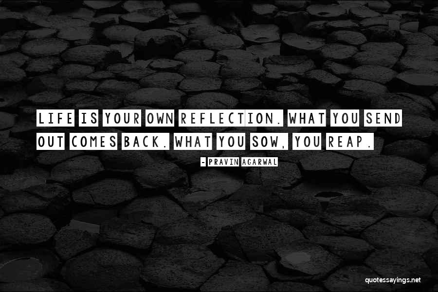 Vekstein Vladimir Quotes By Pravin Agarwal Vekstein Vladimir Quotes By Pravin Agarwal