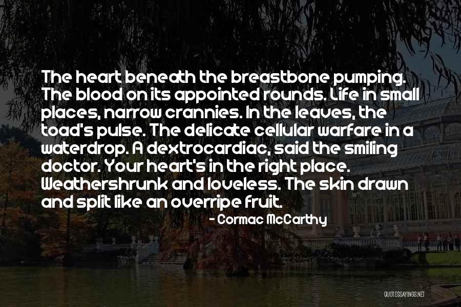 Vel Marathi Quotes By Cormac McCarthy Vel Marathi Quotes By Cormac McCarthy