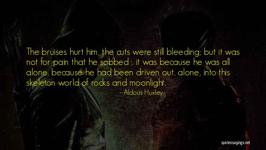 Velazquez Rokeby Quotes By Aldous Huxley Velazquez Rokeby Quotes By Aldous Huxley