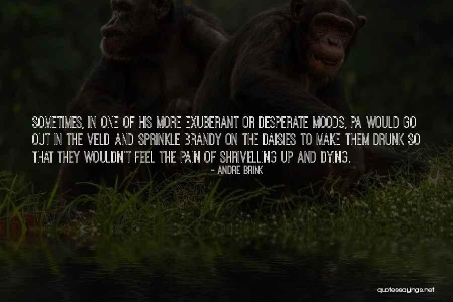 Veld Quotes By Andre Brink Veld Quotes By Andre Brink
