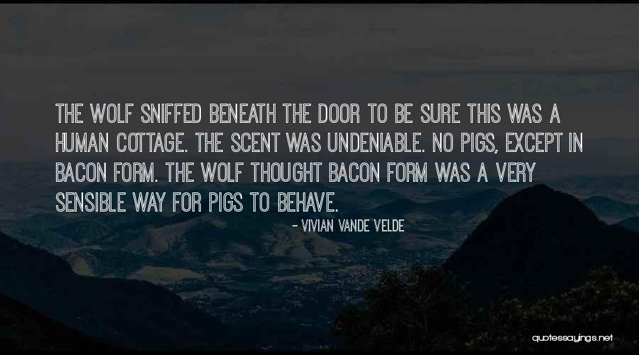 Velde Quotes By Vivian Vande Velde Velde Quotes By Vivian Vande Velde