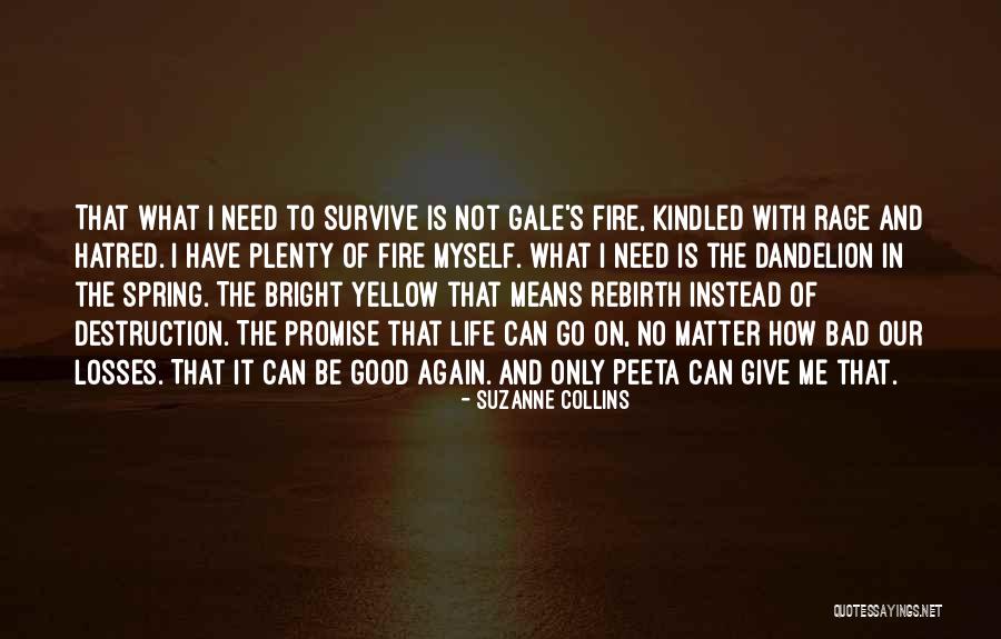 Veldhuizen Cheese Quotes By Suzanne Collins Veldhuizen Cheese Quotes By Suzanne Collins