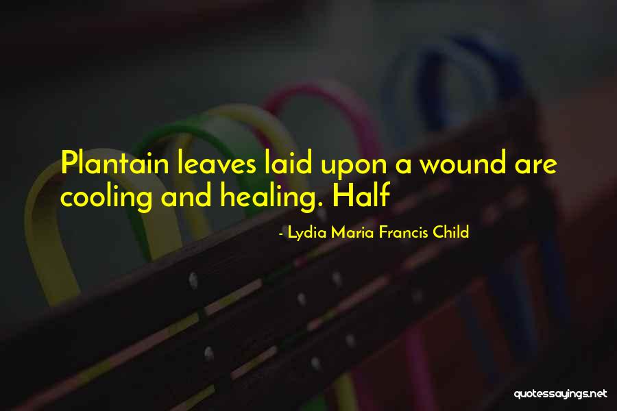Velichov Quotes By Lydia Maria Francis Child Velichov Quotes By Lydia Maria Francis Child