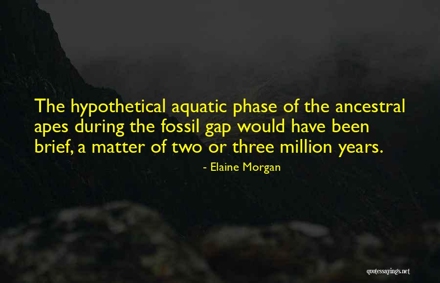Velikden Quotes By Elaine Morgan Velikden Quotes By Elaine Morgan
