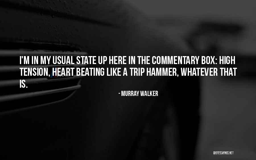 Veliki I Mali Quotes By Murray Walker Veliki I Mali Quotes By Murray Walker