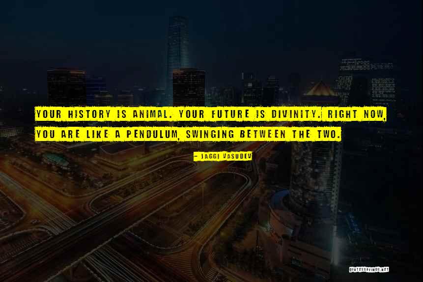 Velikosti Fotek Quotes By Jaggi Vasudev Velikosti Fotek Quotes By Jaggi Vasudev