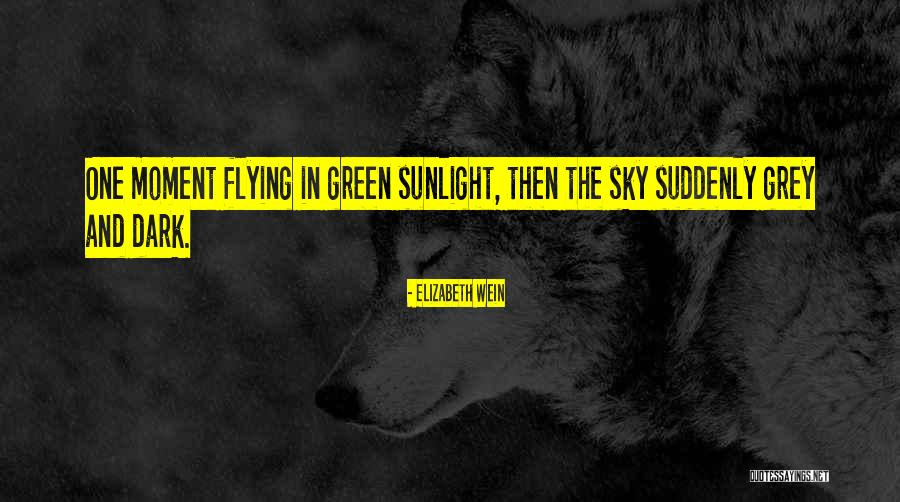 Velikosti Mikin Quotes By Elizabeth Wein Velikosti Mikin Quotes By Elizabeth Wein