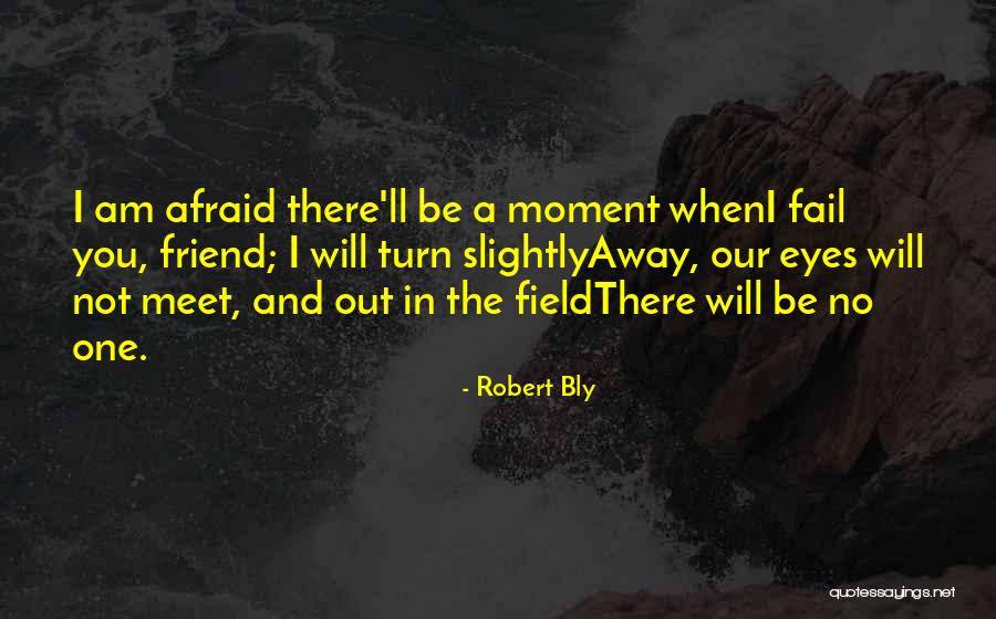 Velizara Kosanovica Quotes By Robert Bly Velizara Kosanovica Quotes By Robert Bly
