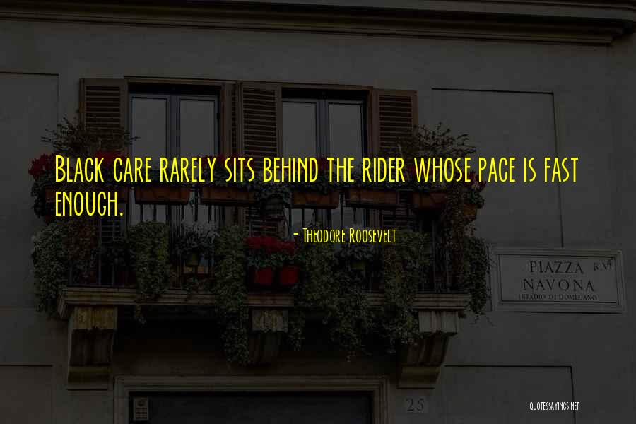 Veljica Quotes By Theodore Roosevelt