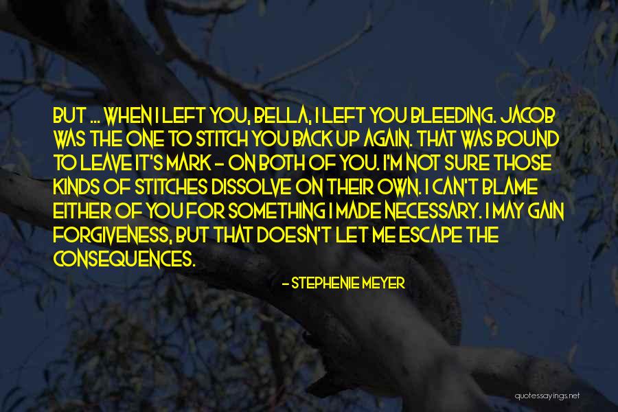 Veljovic Milorad Quotes By Stephenie Meyer Veljovic Milorad Quotes By Stephenie Meyer