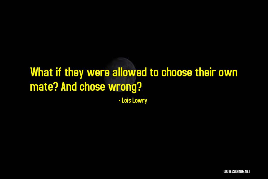 Vellucci Electric Quotes By Lois Lowry Vellucci Electric Quotes By Lois Lowry
