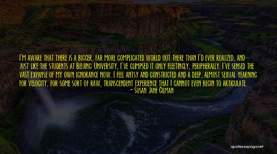 Velocity Is Quotes By Susan Jane Gilman Velocity Is Quotes By Susan Jane Gilman