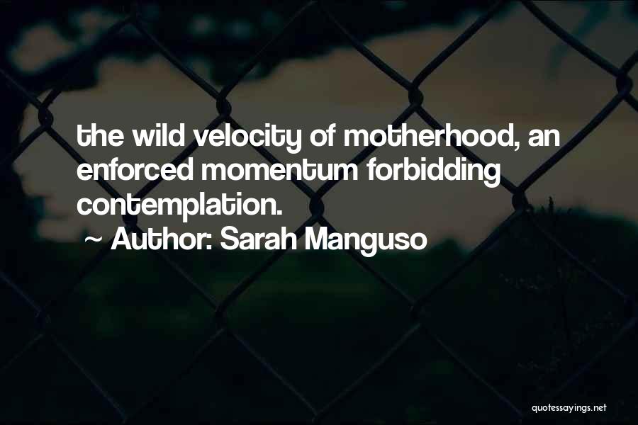 Velocity Quotes By Sarah Manguso