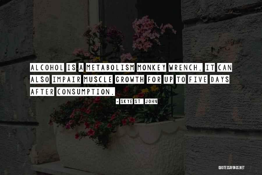 Velozmente 2013 Quotes By Skye St. John Velozmente 2013 Quotes By Skye St. John
