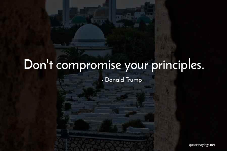 Velsen Noord Quotes By Donald Trump Velsen Noord Quotes By Donald Trump