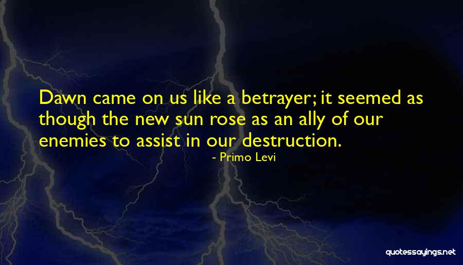 Velveeta Dip Quotes By Primo Levi Velveeta Dip Quotes By Primo Levi
