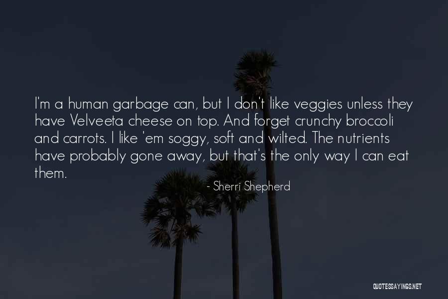 Velveeta Quotes By Sherri Shepherd Velveeta Quotes By Sherri Shepherd