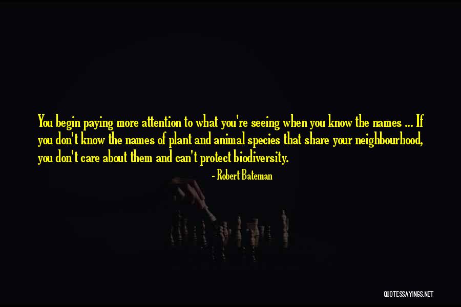 Velvet Blazer Quotes By Robert Bateman Velvet Blazer Quotes By Robert Bateman