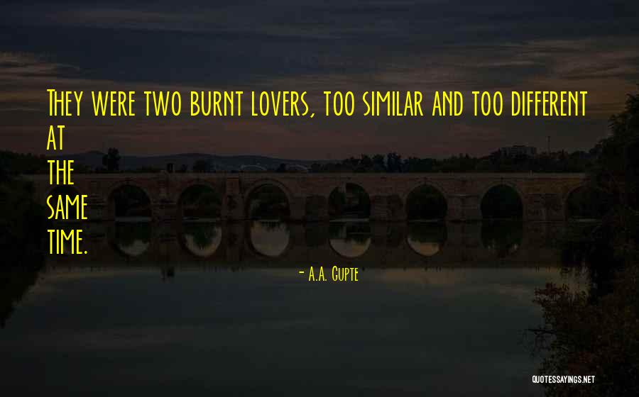 Velvet Elvis Quotes By A.A. Gupte Velvet Elvis Quotes By A.A. Gupte