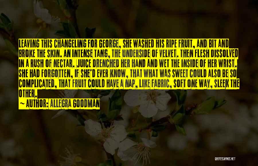 Velvet Fabric Quotes By Allegra Goodman
