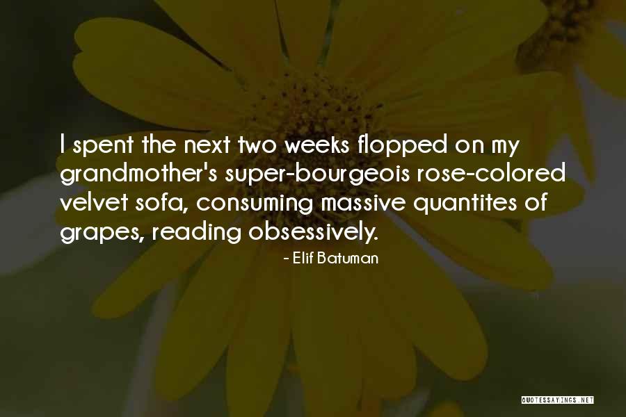 Velvet Sofa Quotes By Elif Batuman Velvet Sofa Quotes By Elif Batuman