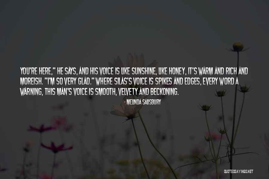 Velvety Quotes By Melinda Salisbury Velvety Quotes By Melinda Salisbury
