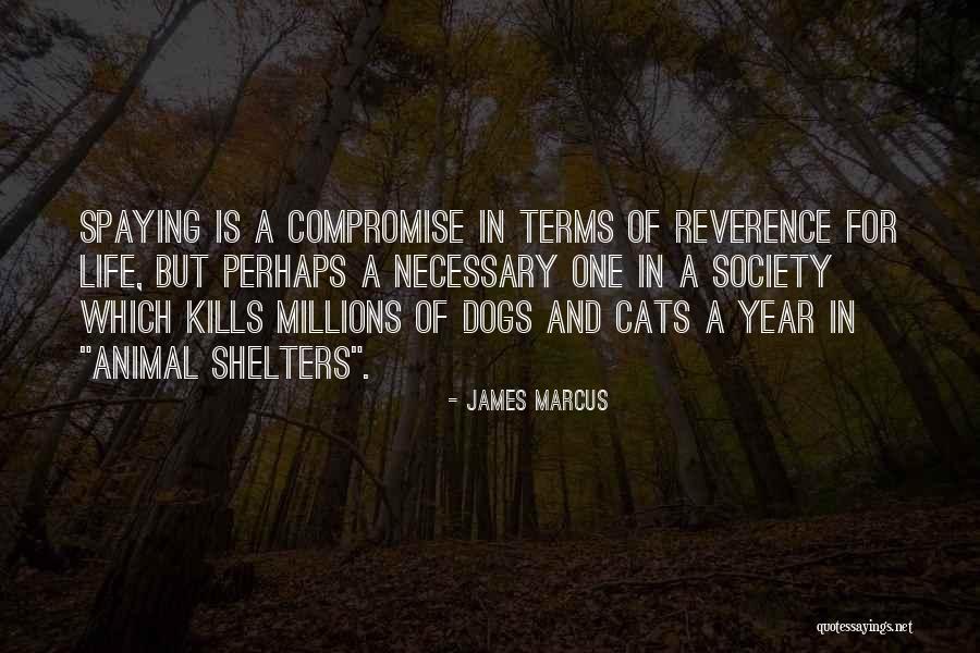 Venality Def Quotes By James Marcus Venality Def Quotes By James Marcus