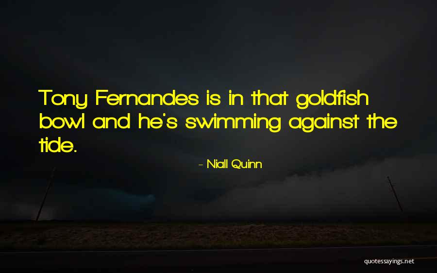 Vendela Roses Quotes By Niall Quinn Vendela Roses Quotes By Niall Quinn