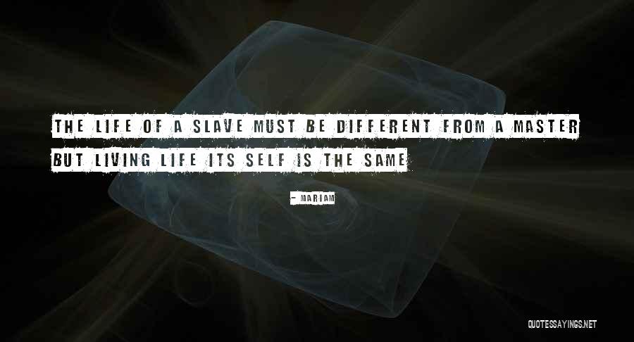 Venditti Studio Quotes By Mariam Venditti Studio Quotes By Mariam