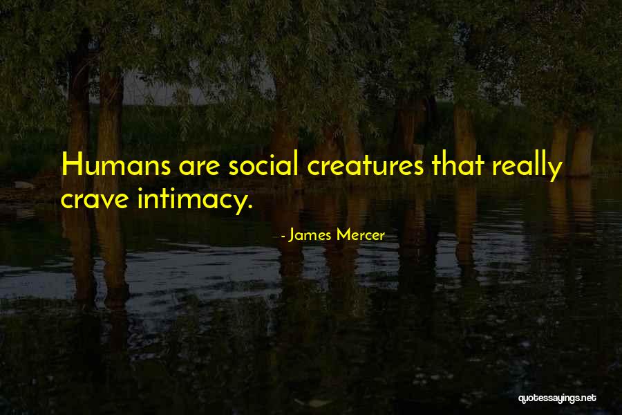 Veneroso General Construction Quotes By James Mercer Veneroso General Construction Quotes By James Mercer