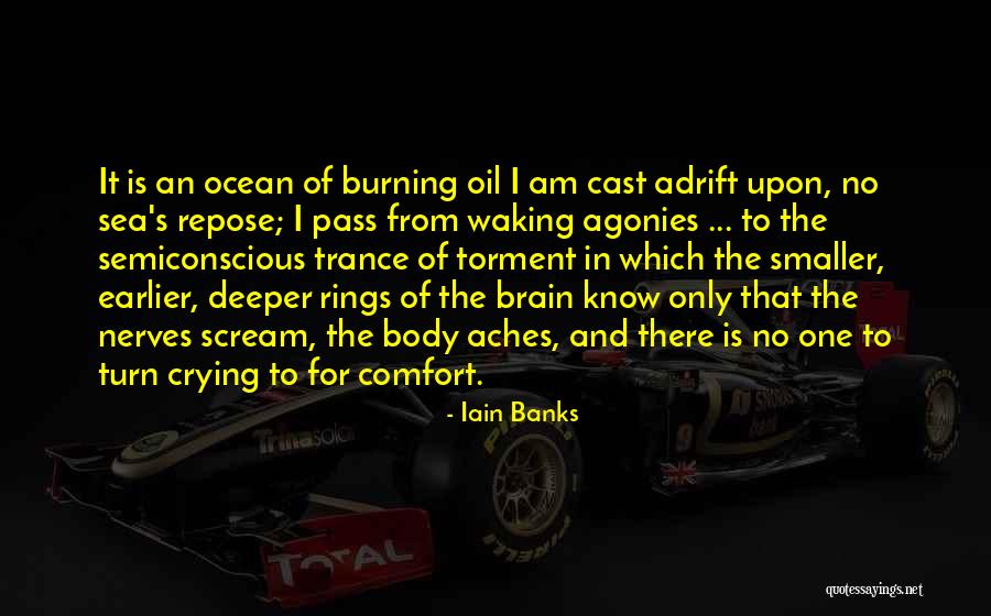 Venezias Menu Quotes By Iain Banks Venezias Menu Quotes By Iain Banks