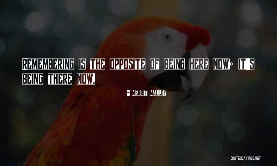 Venezolana Quotes By Merrit Malloy Venezolana Quotes By Merrit Malloy