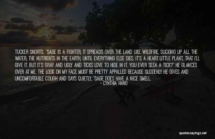 Vengara Auditorium Quotes By Cynthia Hand Vengara Auditorium Quotes By Cynthia Hand