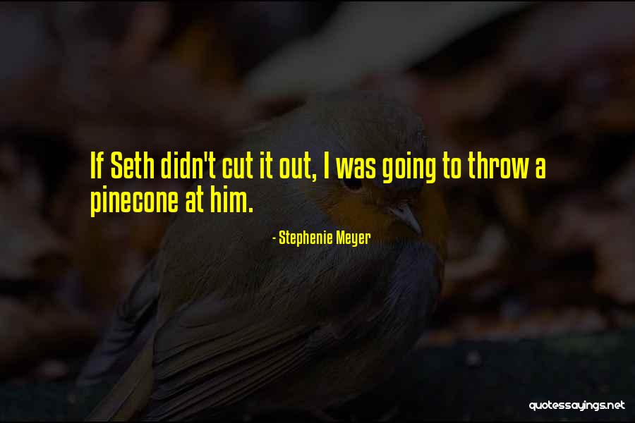 Venice Fl Quotes By Stephenie Meyer Venice Fl Quotes By Stephenie Meyer