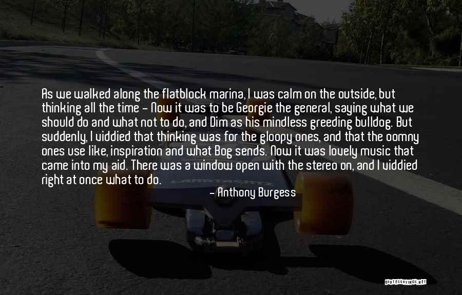 Venice Florida Quotes By Anthony Burgess Venice Florida Quotes By Anthony Burgess