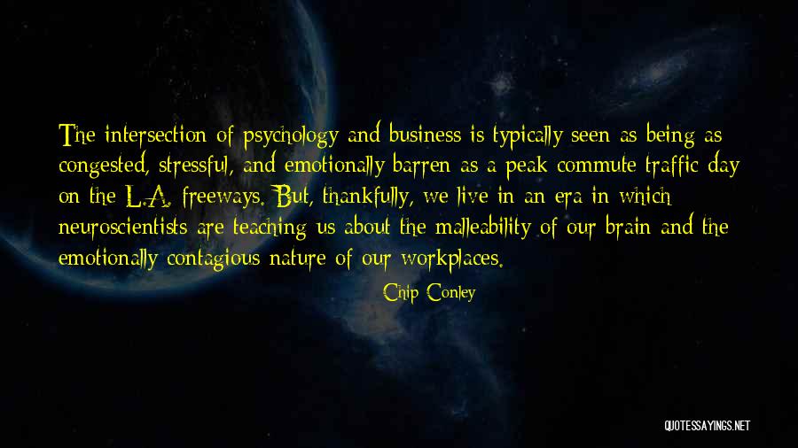 Venidas Caseras Quotes By Chip Conley Venidas Caseras Quotes By Chip Conley