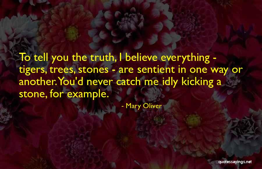 Venise Carnaval Quotes By Mary Oliver Venise Carnaval Quotes By Mary Oliver