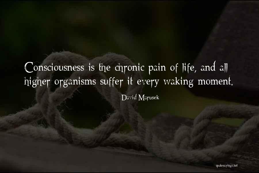 Ventanillas Avion Quotes By David Marusek Ventanillas Avion Quotes By David Marusek