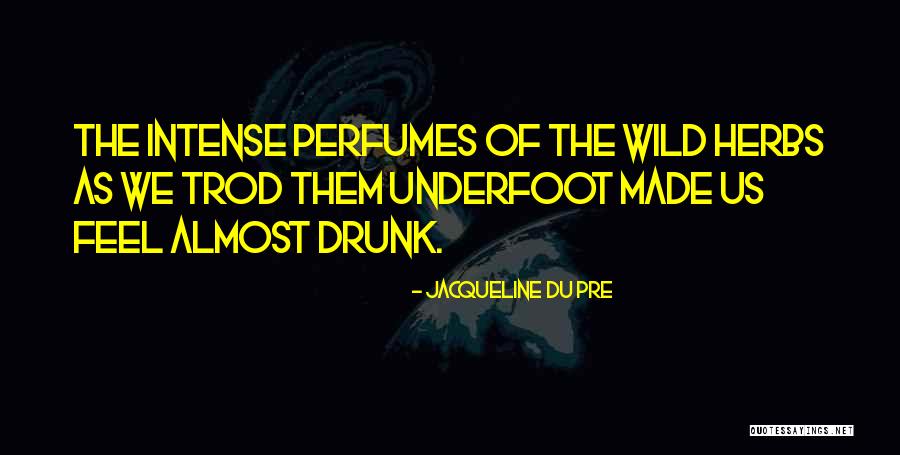 Ventilatori Kupujem Quotes By Jacqueline Du Pre Ventilatori Kupujem Quotes By Jacqueline Du Pre