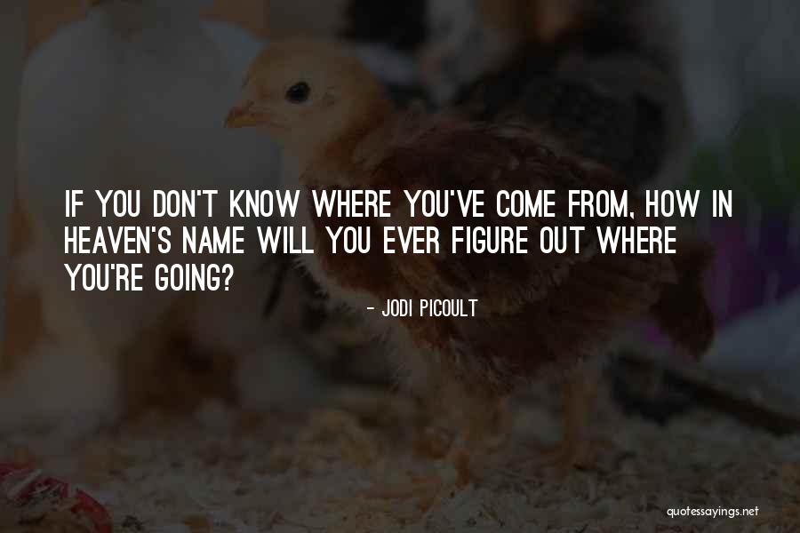 Ventrelli And Simon Quotes By Jodi Picoult Ventrelli And Simon Quotes By Jodi Picoult