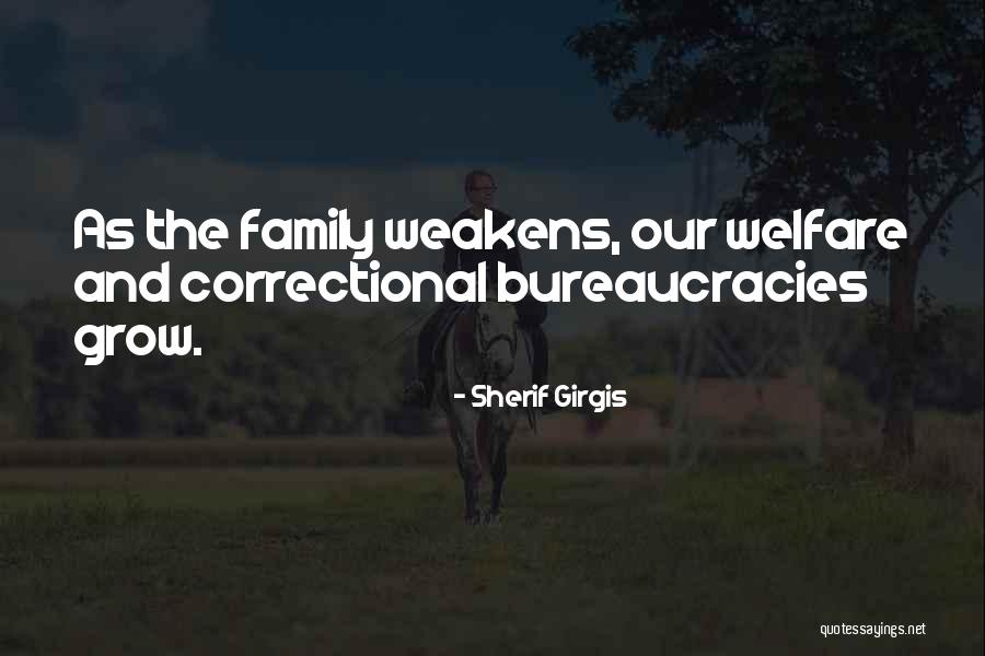 Ventricle Of The Brain Quotes By Sherif Girgis Ventricle Of The Brain Quotes By Sherif Girgis