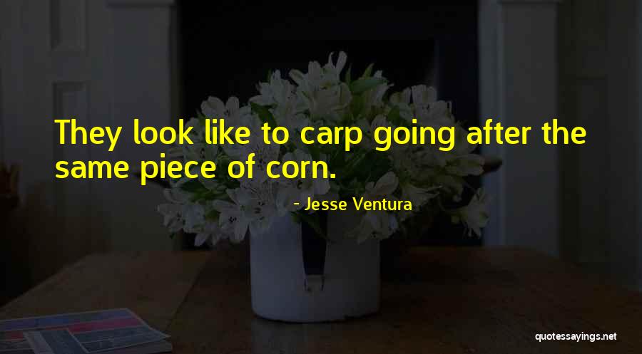 Ventura Quotes By Jesse Ventura