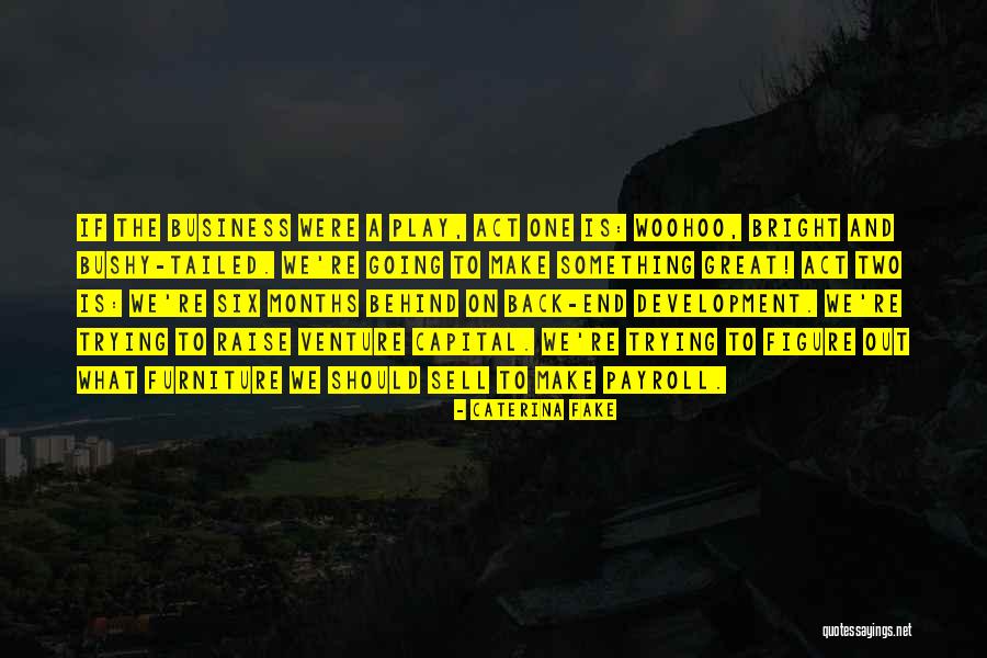 Venture Capital Quotes By Caterina Fake Venture Capital Quotes By Caterina Fake