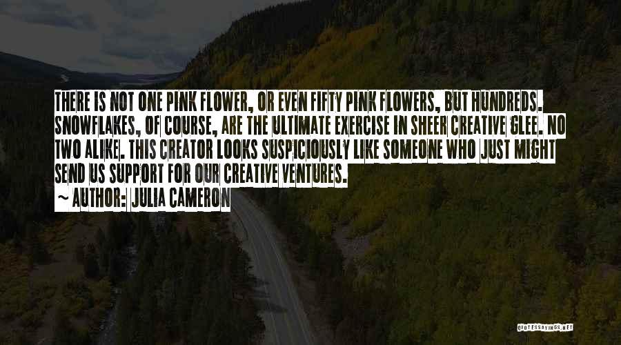 Ventures Quotes By Julia Cameron